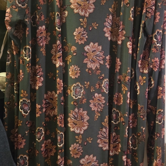 Duster - Picture 4 of 4